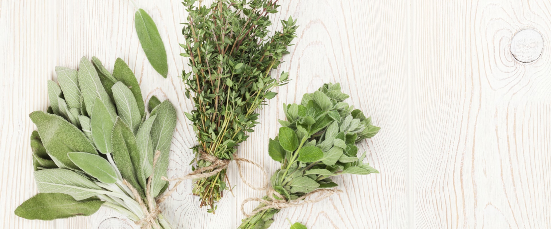 Herbal Medicinal and Healing Properties: Unlocking the Benefits of Nature's Remedies