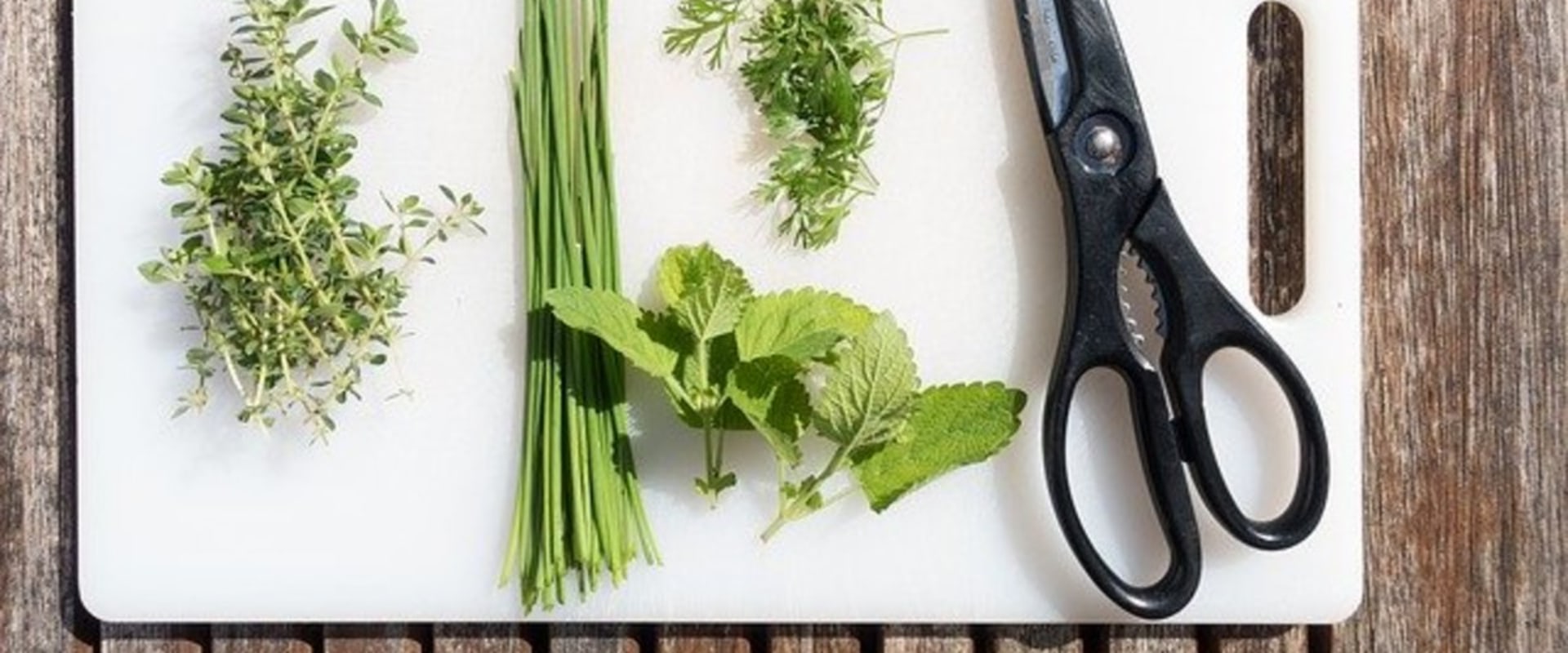 Healing Properties of 10 Medicinal Plants