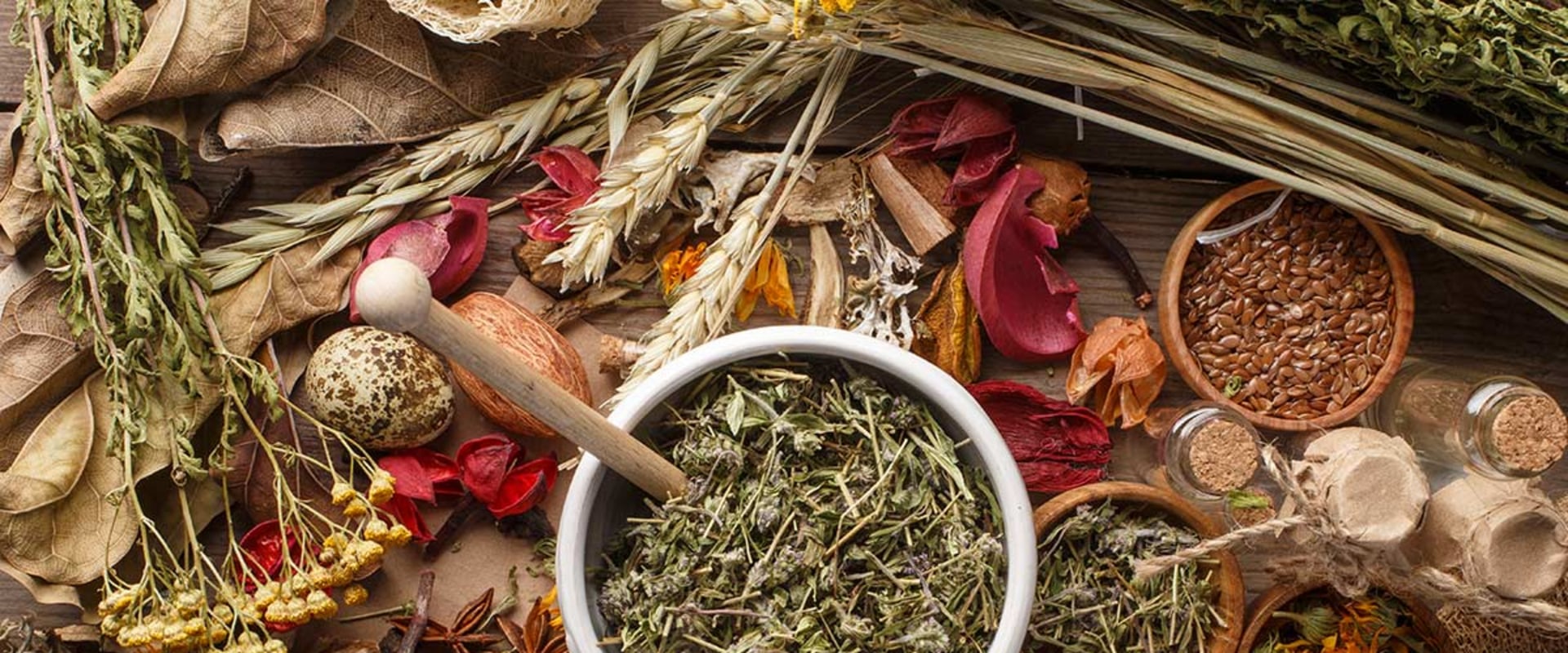 Do Herbs Heal? A Comprehensive Exploration of Ashwagandha, Chamomile, Echinacea, Garlic, and Ginger
