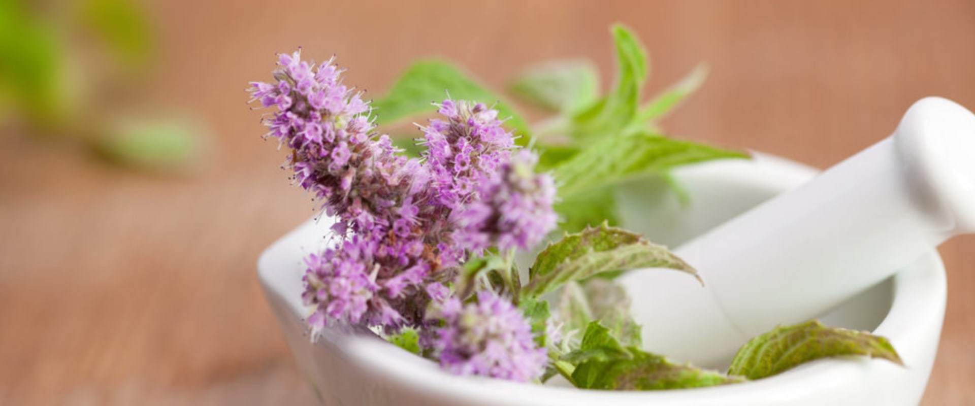 Preparing Herbs for Medicinal Purposes