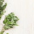 Herbal Medicinal and Healing Properties: Exploring the Benefits of Nature's Remedies