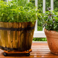Grow Your Own Medicine Cabinet: 10 Medicinal Herbs to Plant in Your Garden
