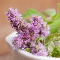 Preparing Herbs for Medicinal Purposes
