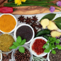 Healing Plants and Herbs: A Guide to Common Medicinal Herbs