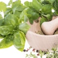 The Health Benefits of Herbs: 10 of the Healthiest Herbs and Spices