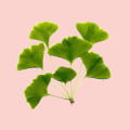 Which Plant Has the Most Healing Properties?