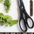 The Healing Power of Herbs: A Guide to Common Medicinal Herbs