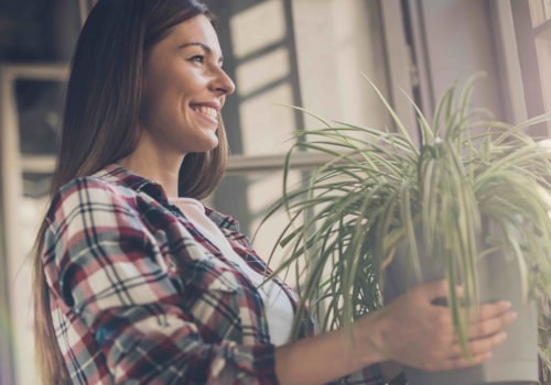 The Healing Power of Plants: How Nature Can Help You Feel Better