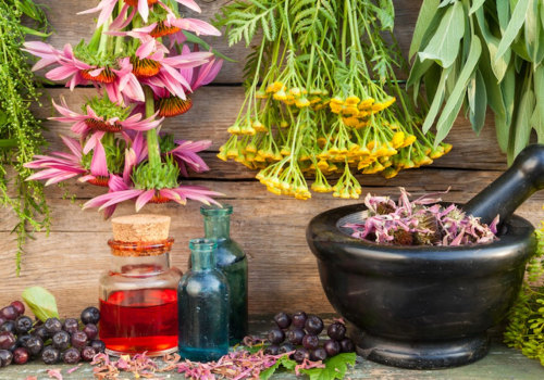 Healing Herbs and Plants: A Comprehensive Guide