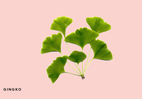 Which Plant Has the Best Medicinal Value?