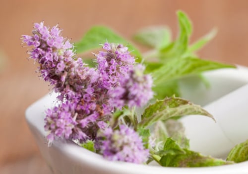 Preparing Herbs for Medicinal Purposes